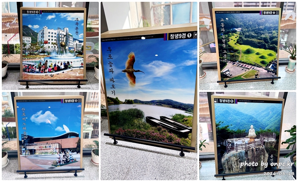 🌿[창녕 여행] 1억 4천만 년의 신비, 겨울 우포늪과 생태관 완벽 탐방기 | 생명길 8.4km 트레킹 후기