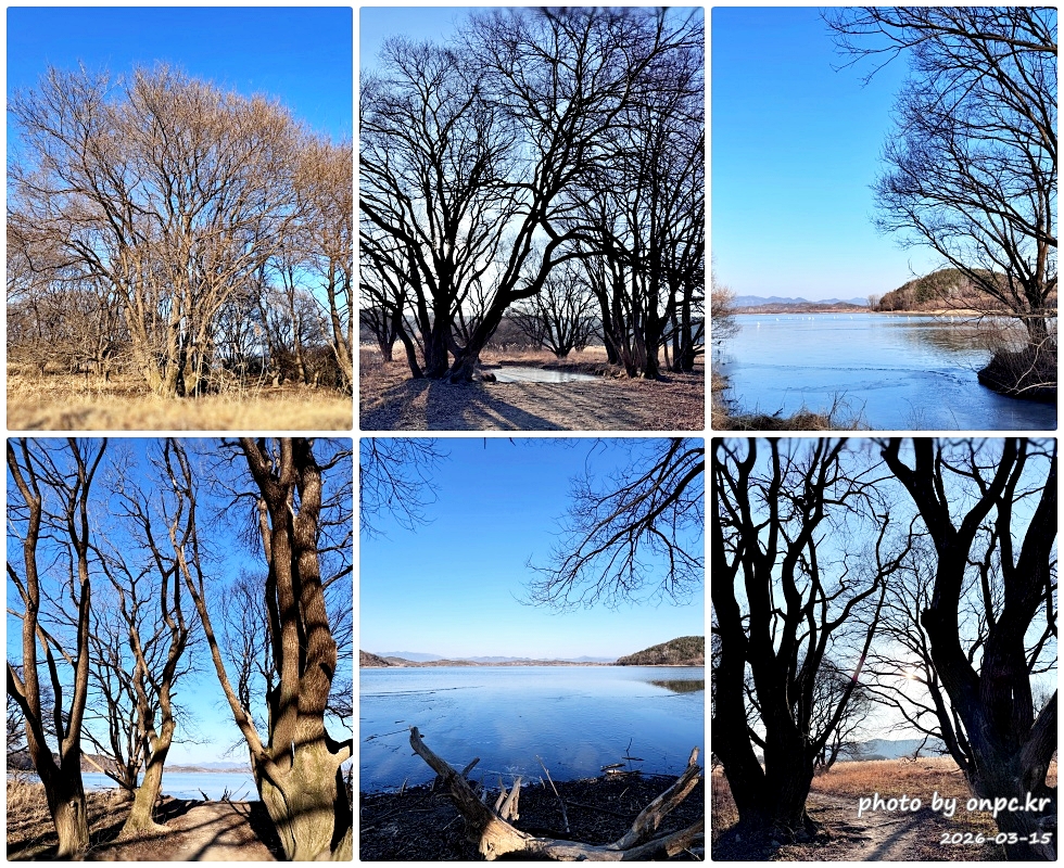 🌿[창녕 여행] 1억 4천만 년의 신비, 겨울 우포늪과 생태관 완벽 탐방기 | 생명길 8.4km 트레킹 후기