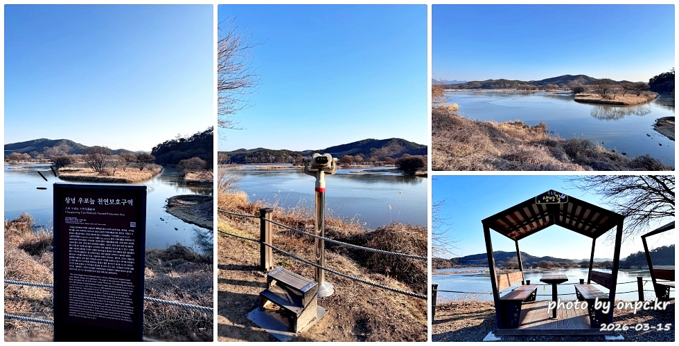 🌿[창녕 여행] 1억 4천만 년의 신비, 겨울 우포늪과 생태관 완벽 탐방기 | 생명길 8.4km 트레킹 후기