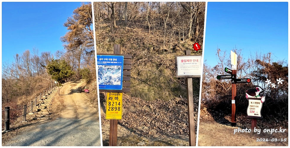 🌿[창녕 여행] 1억 4천만 년의 신비, 겨울 우포늪과 생태관 완벽 탐방기 | 생명길 8.4km 트레킹 후기