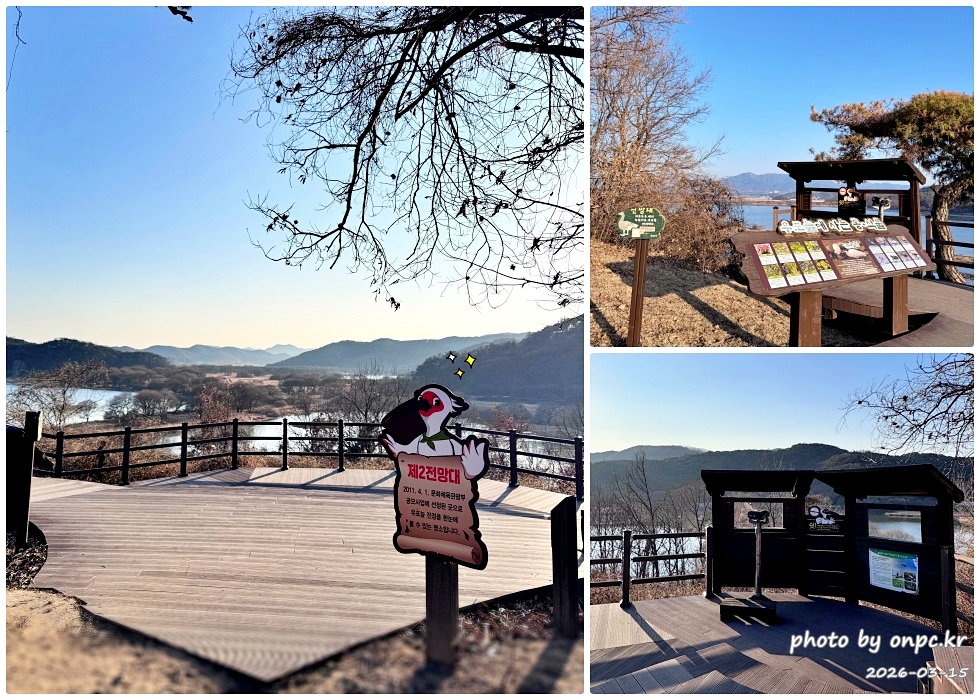 🌿[창녕 여행] 1억 4천만 년의 신비, 겨울 우포늪과 생태관 완벽 탐방기 | 생명길 8.4km 트레킹 후기