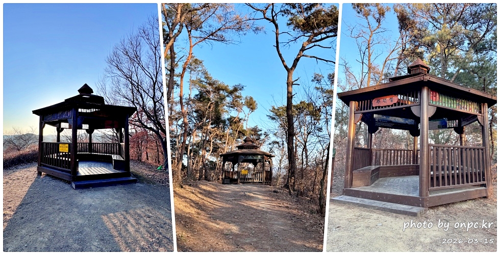 🌿[창녕 여행] 1억 4천만 년의 신비, 겨울 우포늪과 생태관 완벽 탐방기 | 생명길 8.4km 트레킹 후기