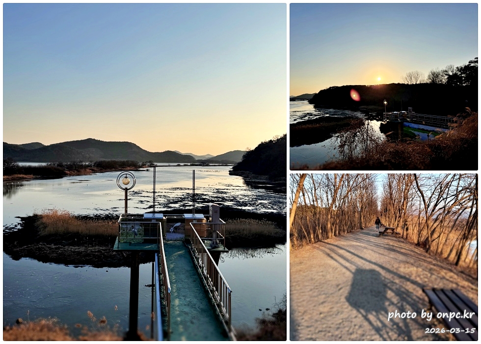 🌿[창녕 여행] 1억 4천만 년의 신비, 겨울 우포늪과 생태관 완벽 탐방기 | 생명길 8.4km 트레킹 후기