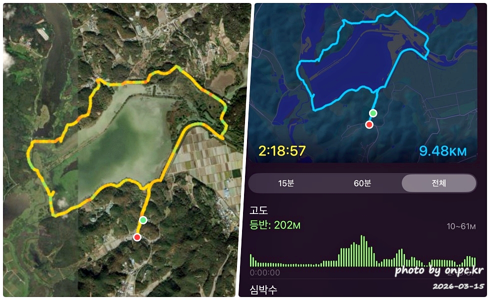 🌿[창녕 여행] 1억 4천만 년의 신비, 겨울 우포늪과 생태관 완벽 탐방기 | 생명길 8.4km 트레킹 후기