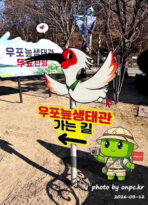 🌿[창녕 여행] 1억 4천만 년의 신비, 겨울 우포늪과 생태관 완벽 탐방기 | 생명길 8.4km 트레킹 후기
