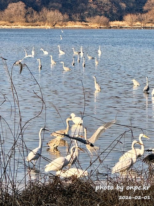 🌿[창녕 여행] 1억 4천만 년의 신비, 겨울 우포늪과 생태관 완벽 탐방기 | 생명길 8.4km 트레킹 후기