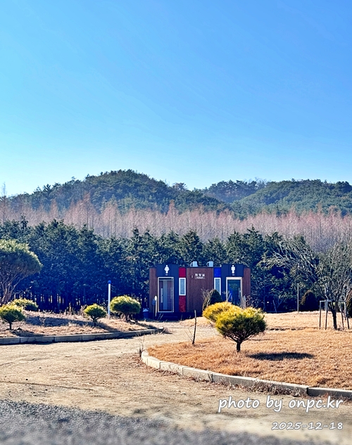 [영덕 가볼만한곳] 대한민국 100대 명품숲! 벌영리 메타세콰이어 숲길 산책 후기🌲❄️