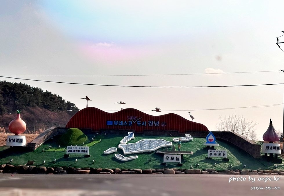 🌿[창녕 여행] 1억 4천만 년의 신비, 겨울 우포늪과 생태관 완벽 탐방기 | 생명길 8.4km 트레킹 후기