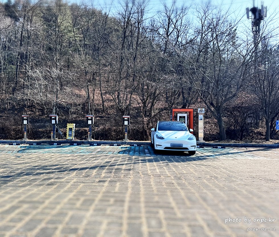 🌿[창녕 여행] 1억 4천만 년의 신비, 겨울 우포늪과 생태관 완벽 탐방기 | 생명길 8.4km 트레킹 후기