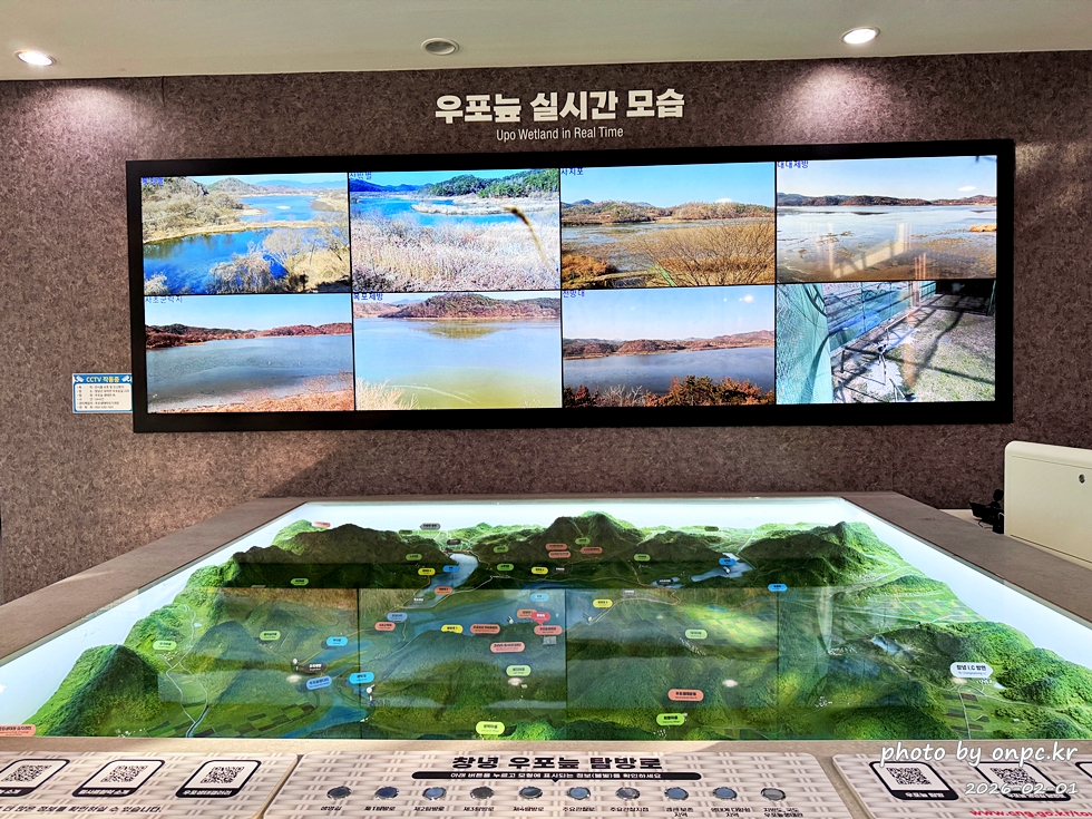 🌿[창녕 여행] 1억 4천만 년의 신비, 겨울 우포늪과 생태관 완벽 탐방기 | 생명길 8.4km 트레킹 후기