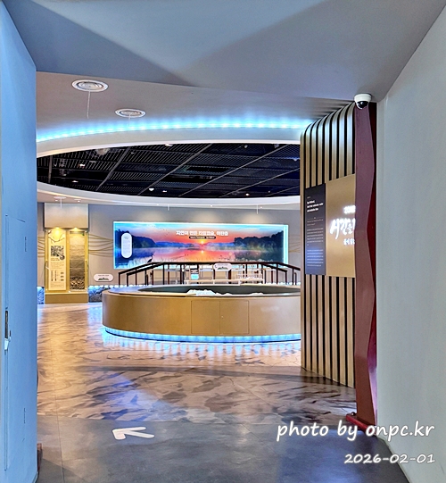 🌿[창녕 여행] 1억 4천만 년의 신비, 겨울 우포늪과 생태관 완벽 탐방기 | 생명길 8.4km 트레킹 후기