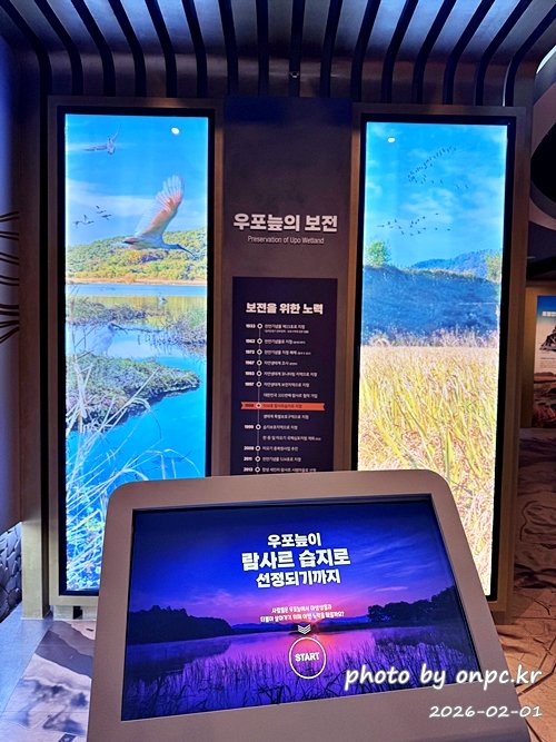 🌿[창녕 여행] 1억 4천만 년의 신비, 겨울 우포늪과 생태관 완벽 탐방기 | 생명길 8.4km 트레킹 후기