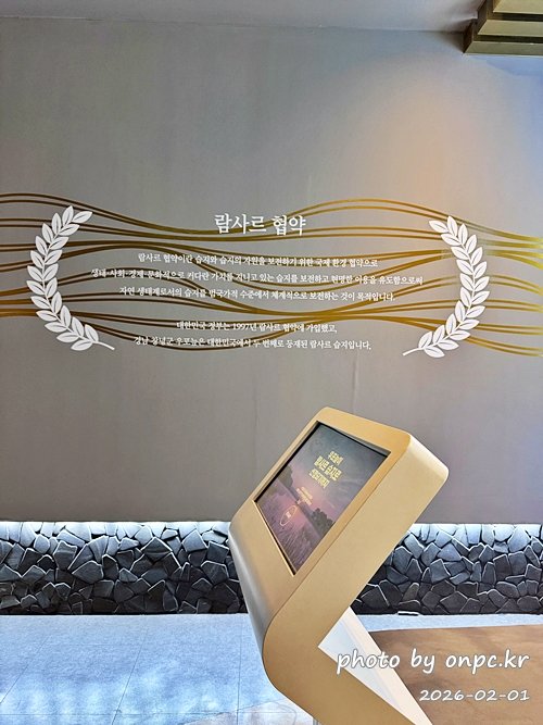 🌿[창녕 여행] 1억 4천만 년의 신비, 겨울 우포늪과 생태관 완벽 탐방기 | 생명길 8.4km 트레킹 후기