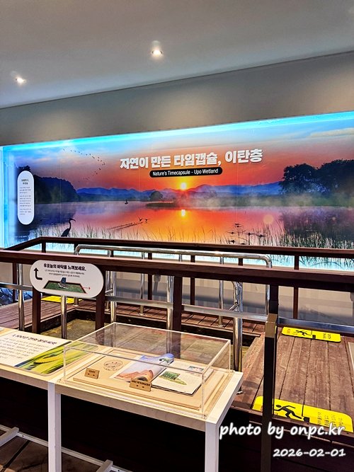 🌿[창녕 여행] 1억 4천만 년의 신비, 겨울 우포늪과 생태관 완벽 탐방기 | 생명길 8.4km 트레킹 후기