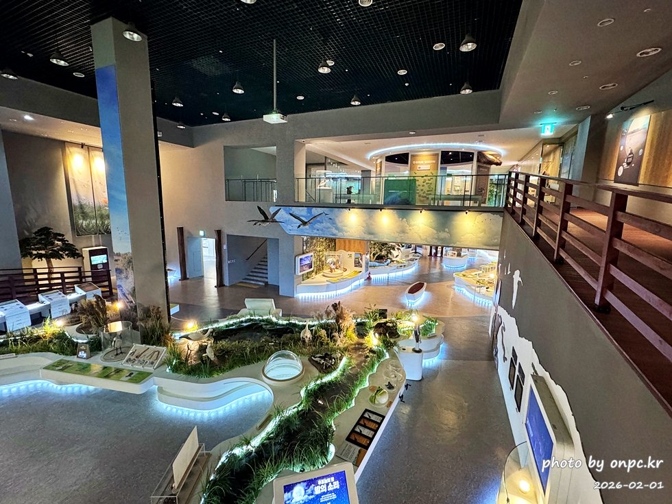 🌿[창녕 여행] 1억 4천만 년의 신비, 겨울 우포늪과 생태관 완벽 탐방기 | 생명길 8.4km 트레킹 후기