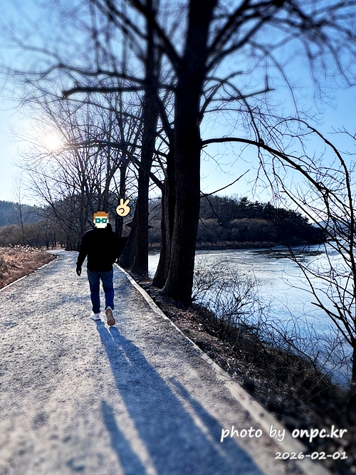 🌿[창녕 여행] 1억 4천만 년의 신비, 겨울 우포늪과 생태관 완벽 탐방기 | 생명길 8.4km 트레킹 후기