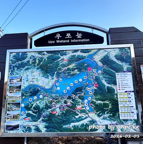 🌿[창녕 여행] 1억 4천만 년의 신비, 겨울 우포늪과 생태관 완벽 탐방기 | 생명길 8.4km 트레킹 후기