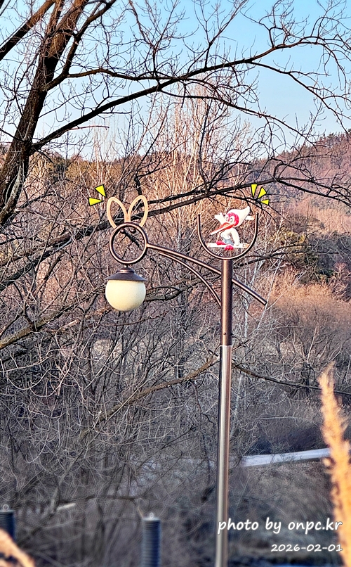 🌿[창녕 여행] 1억 4천만 년의 신비, 겨울 우포늪과 생태관 완벽 탐방기 | 생명길 8.4km 트레킹 후기