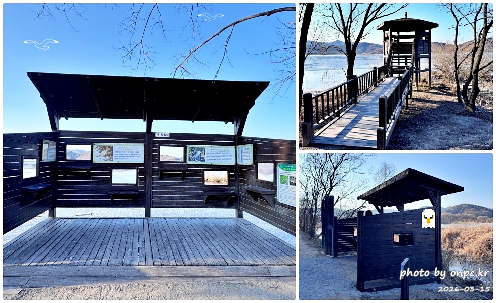 🌿[창녕 여행] 1억 4천만 년의 신비, 겨울 우포늪과 생태관 완벽 탐방기 | 생명길 8.4km 트레킹 후기