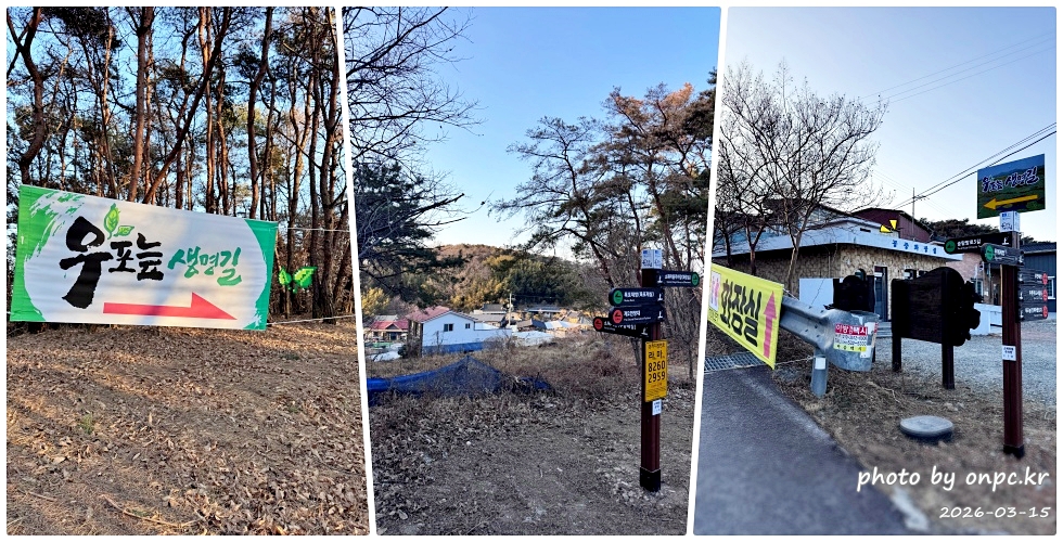 🌿[창녕 여행] 1억 4천만 년의 신비, 겨울 우포늪과 생태관 완벽 탐방기 | 생명길 8.4km 트레킹 후기