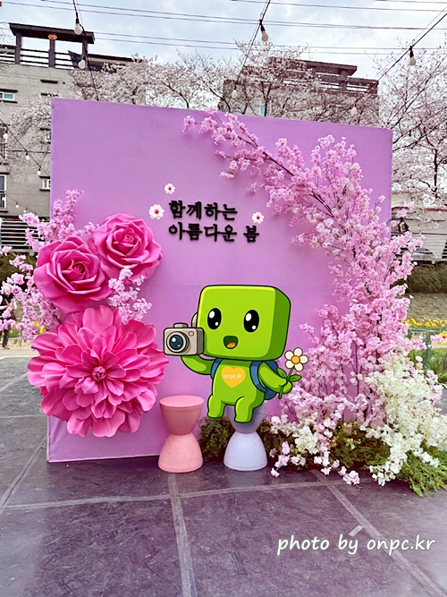 🌸 [울산 가볼만한곳] 분홍빛 설렘이 가득한 궁거랑 벚꽃길, 2026년 봄 산책 명소 실시간 후기