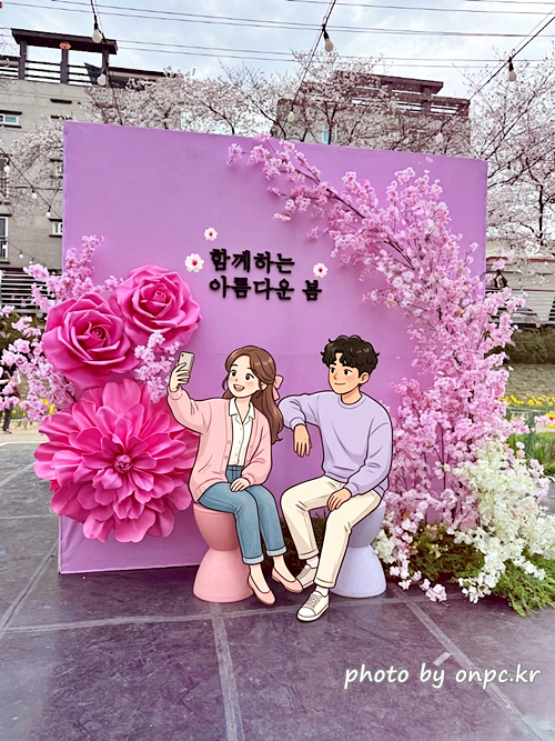 🌸 [울산 가볼만한곳] 분홍빛 설렘이 가득한 궁거랑 벚꽃길, 2026년 봄 산책 명소 실시간 후기